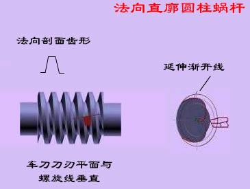 直廓環(huán)面蝸桿 直廓環(huán)面蝸桿